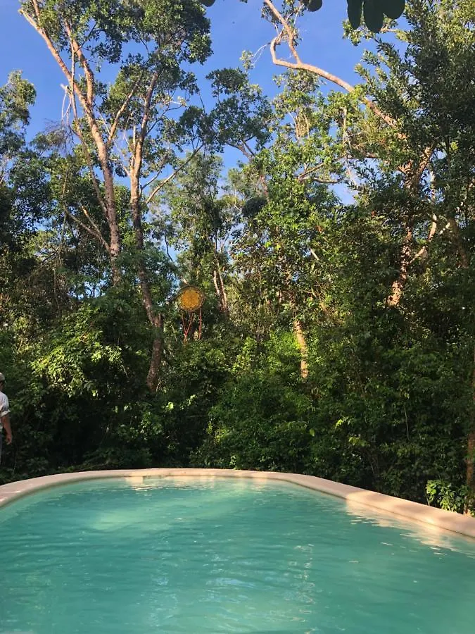 Casa Tzalam Tulum Selva Bed & Breakfast