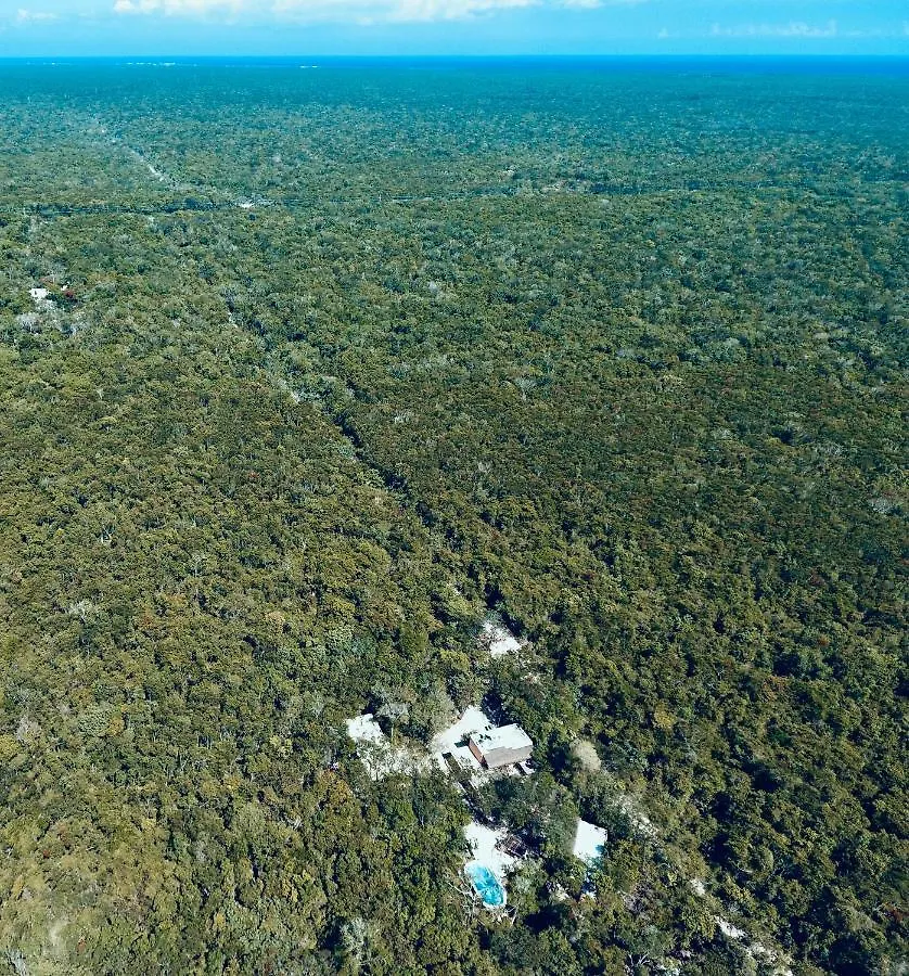Casa Tzalam Tulum Selva Bed & Breakfast