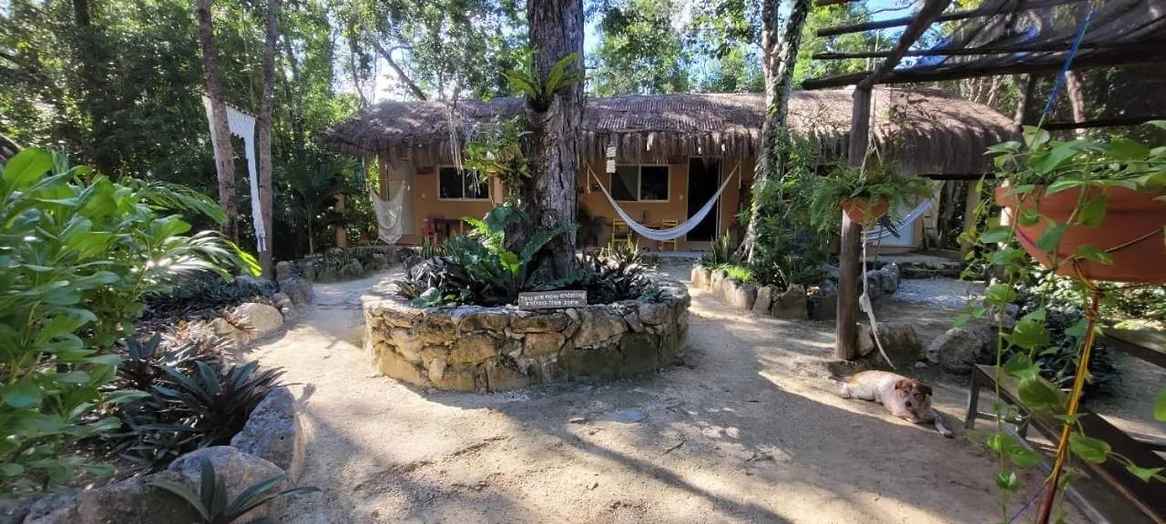Bed and Breakfast Casa Tzalam Tulum Selva