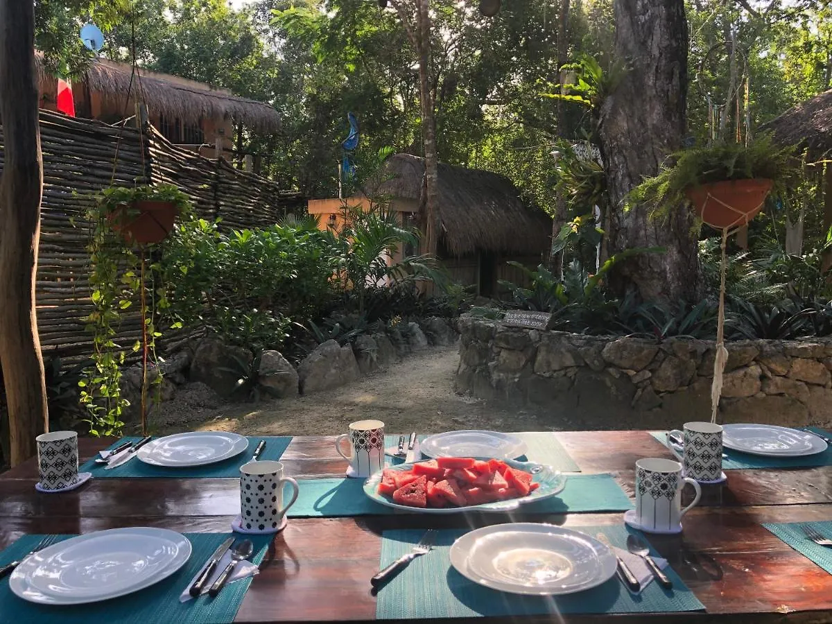 Bed and Breakfast Casa Tzalam Tulum Selva