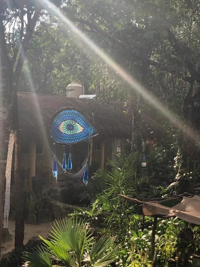 Bed and Breakfast Casa Tzalam Tulum Selva