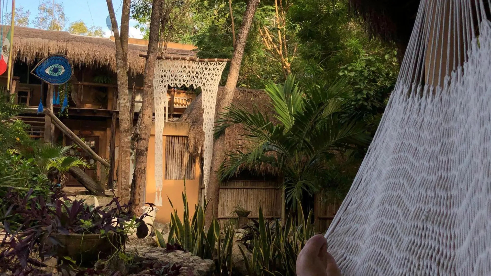 Bed and Breakfast Casa Tzalam Tulum Selva