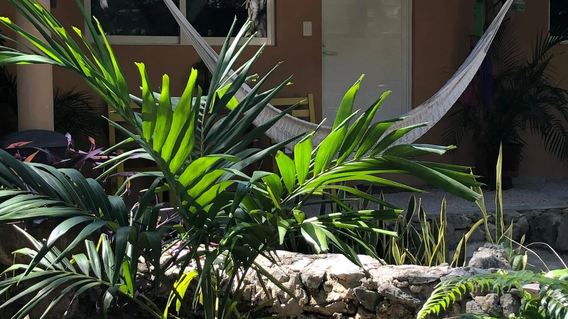 ***  Bed and Breakfast Casa Tzalam Tulum Selva México
