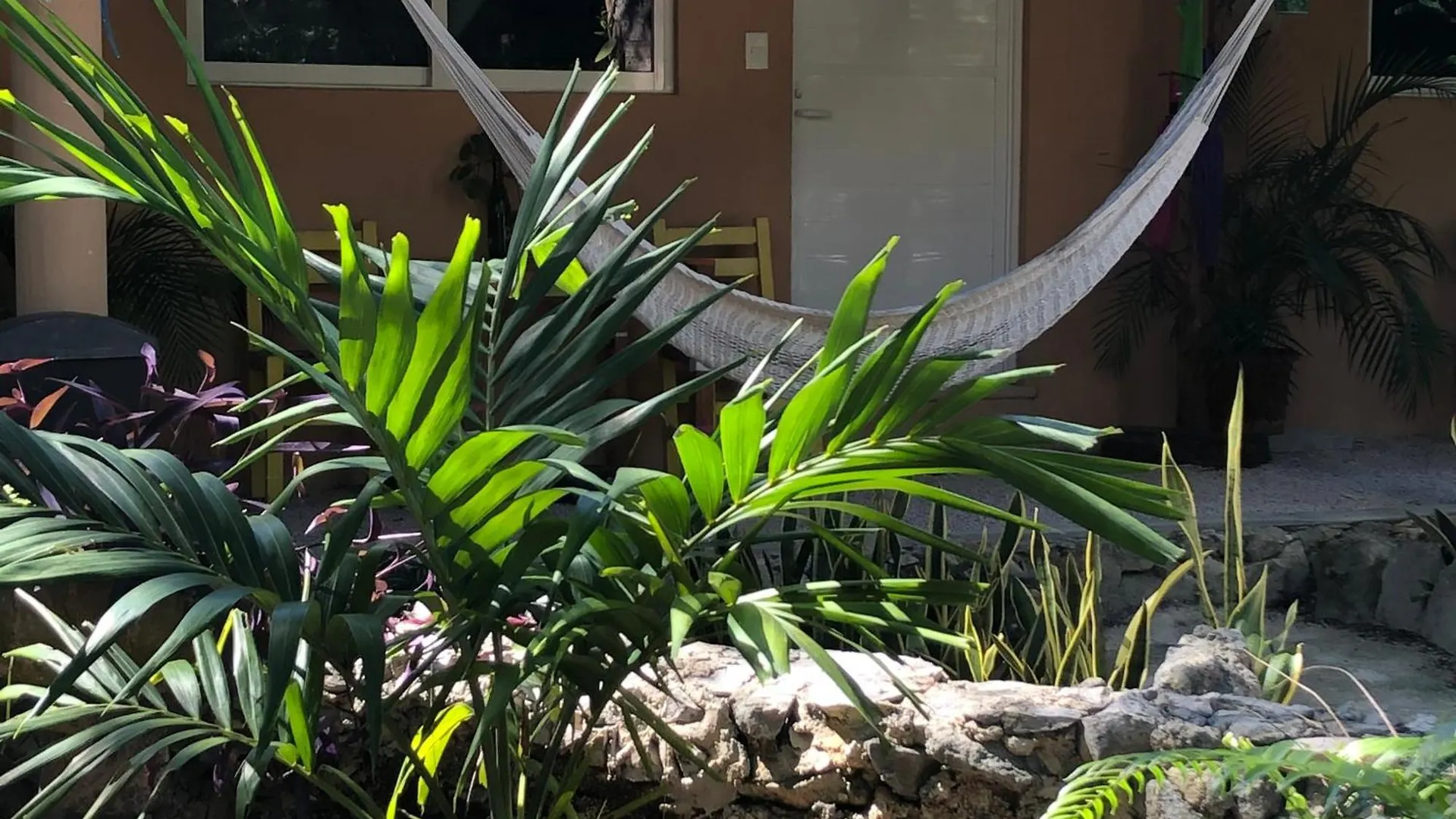 Bed and Breakfast Casa Tzalam Tulum Selva