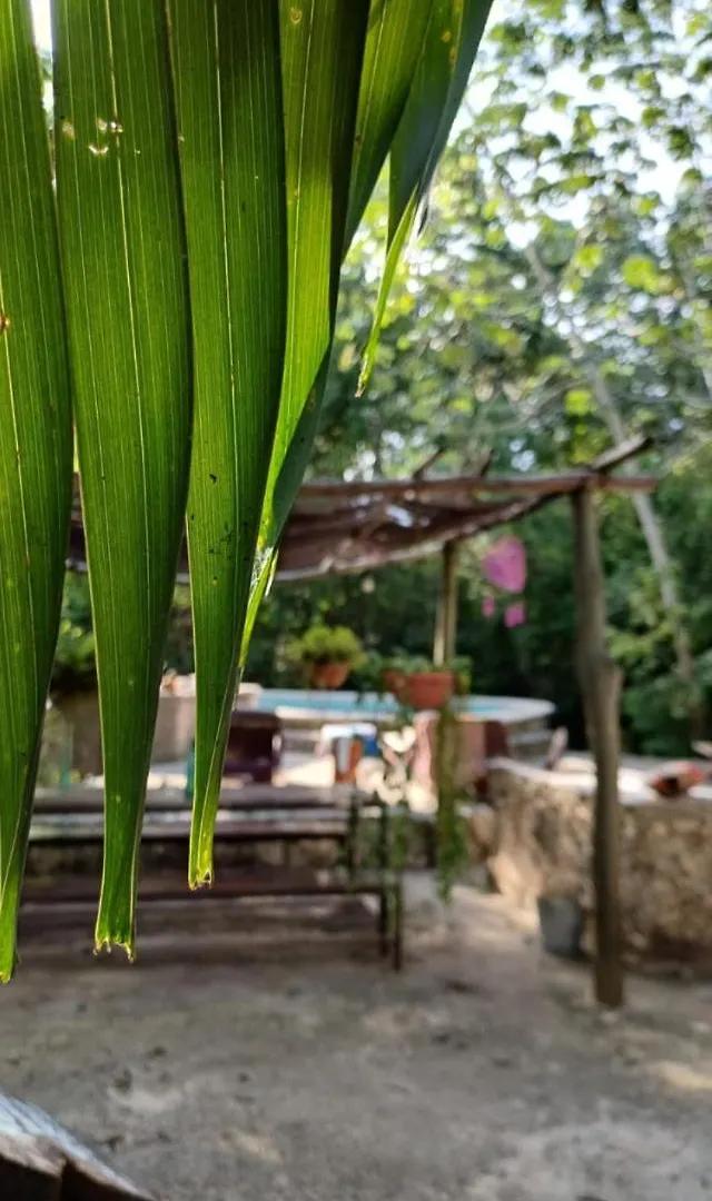 Bed and Breakfast Casa Tzalam Tulum Selva 3*,