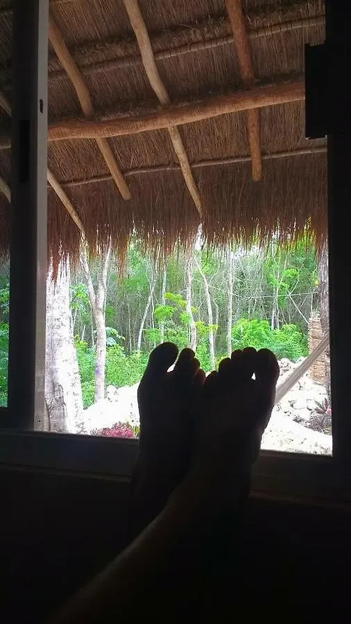 Bed and Breakfast Casa Tzalam Tulum Selva
