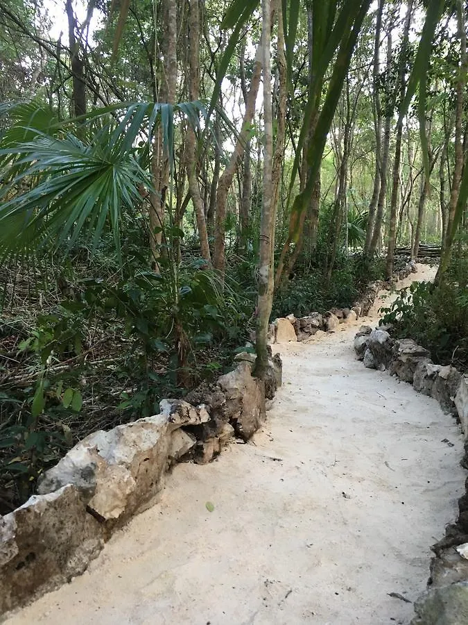 Bed and Breakfast Casa Tzalam Tulum Selva