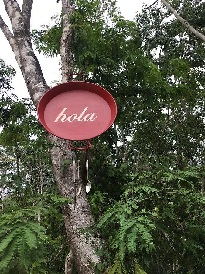Bed and Breakfast Casa Tzalam Tulum Selva