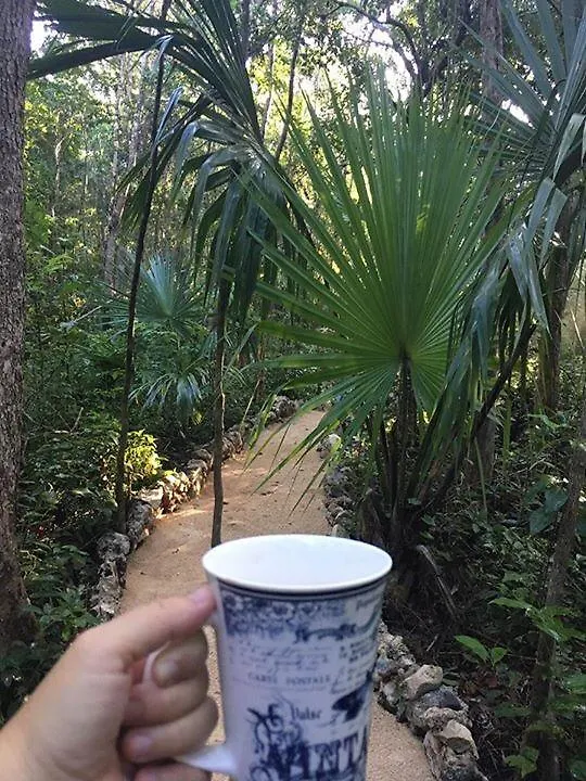 Bed and Breakfast Casa Tzalam Tulum Selva