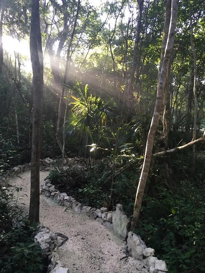 Bed and Breakfast Casa Tzalam Tulum Selva México