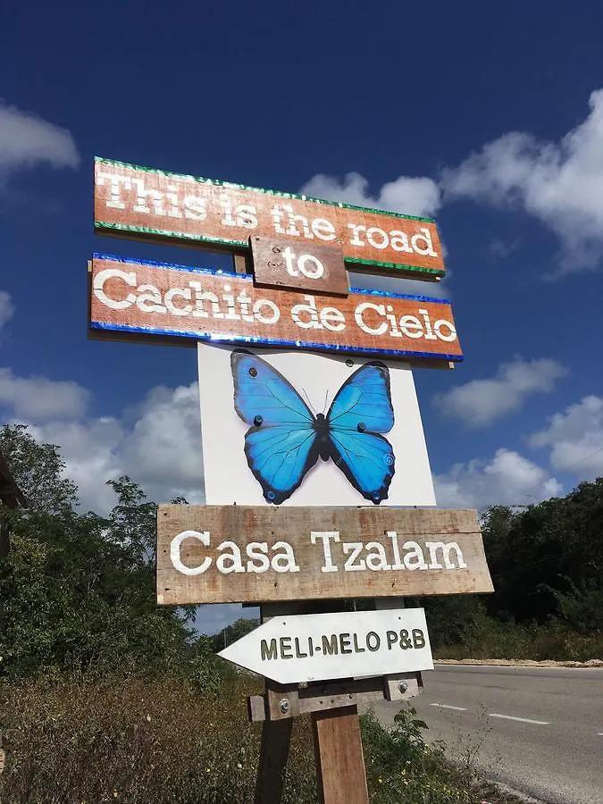 Bed and Breakfast Casa Tzalam Tulum Selva