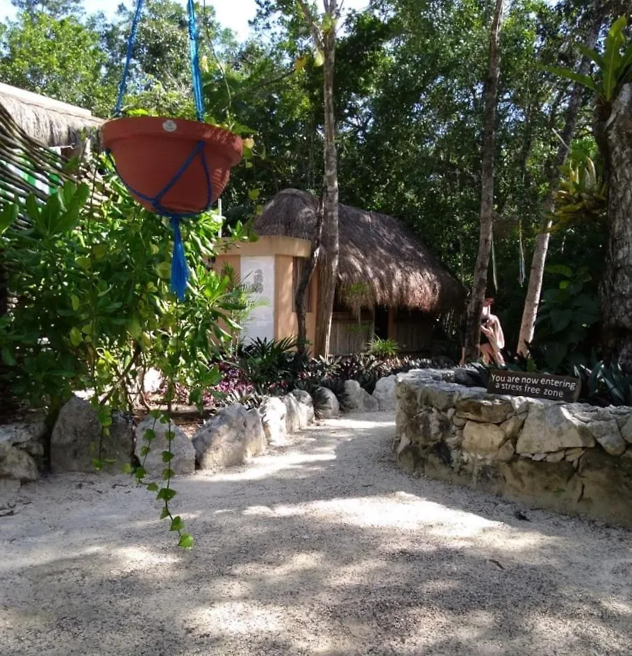 Bed and Breakfast Casa Tzalam Tulum Selva